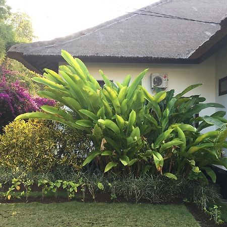 Villa Danison Umeanyar Εξωτερικό φωτογραφία